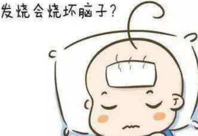 宅男视频在线免费观看品牌揭示发烧真的会烧坏脑子吗